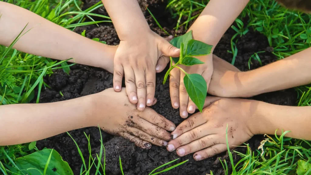 Meio Ambiente Educação Infantil