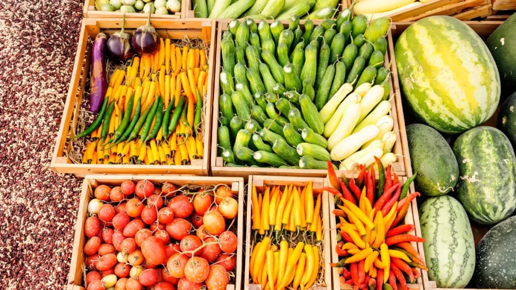 agricultura regenerativa - legumes