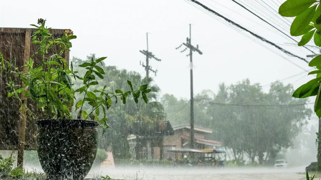 Eventos Climáticos Extremos - Tempestades