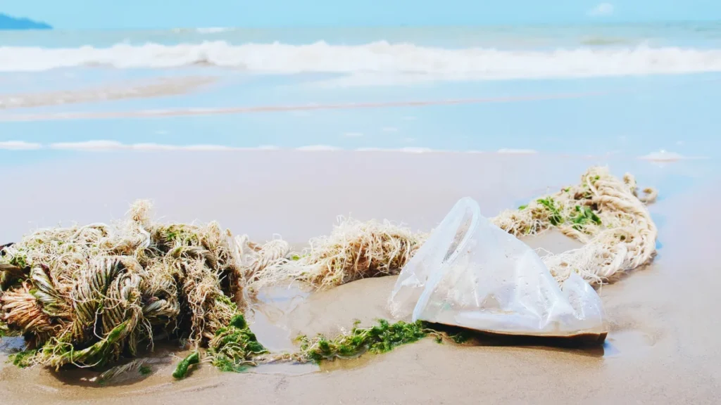 Lixo Marinho - Plásticos de Uso Único - Copos Na praia