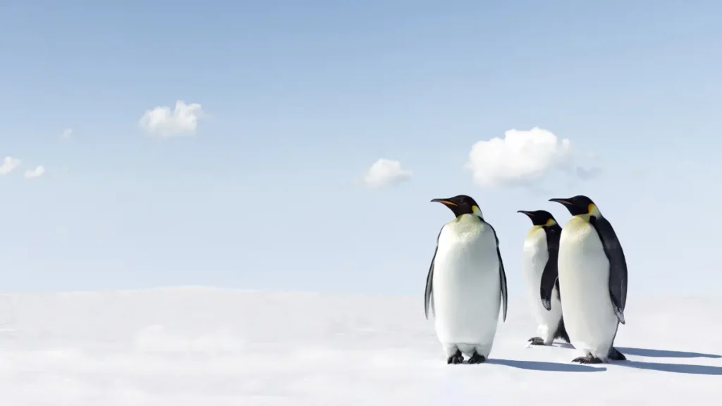 Lugares Mais Ventosos do Mundo