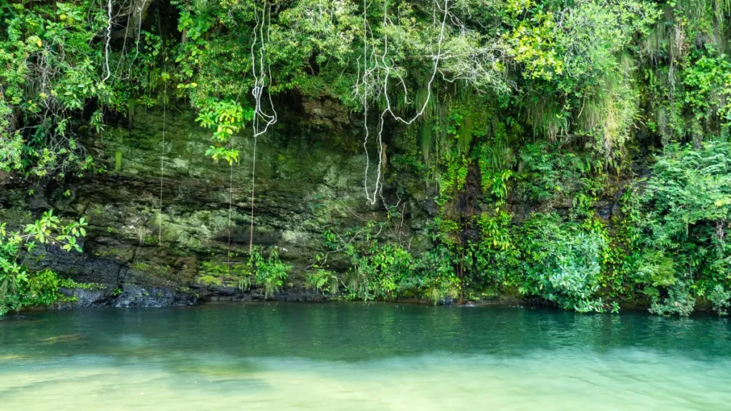 Turismo Rural - Chapada dos Veadeiros