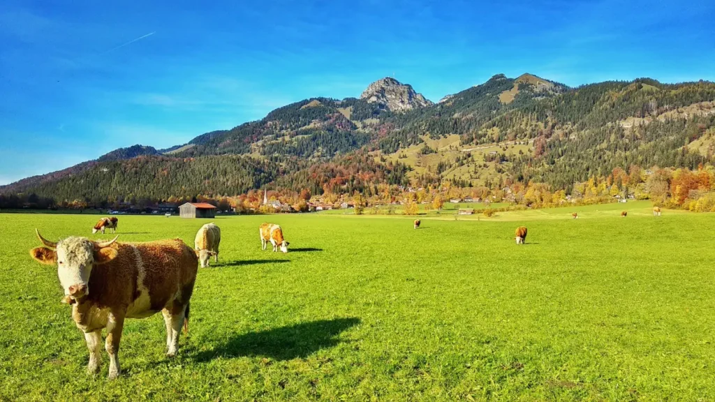 Turismo Rural
