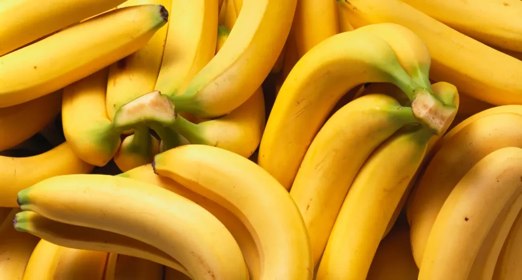 Banana extinta Gros Michel