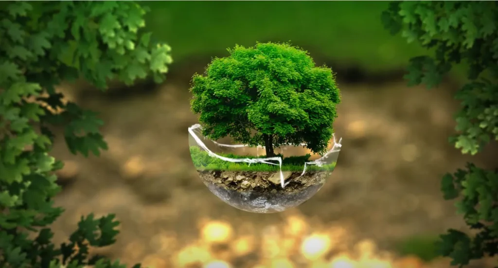 Dia Mundial do Meio Ambiente 2025