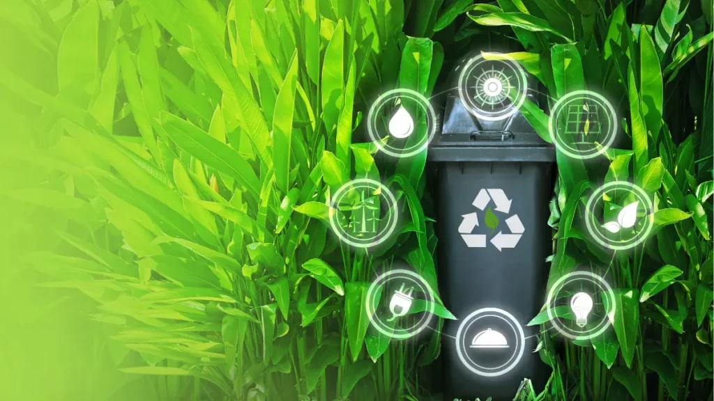 Conservação Ambiental
