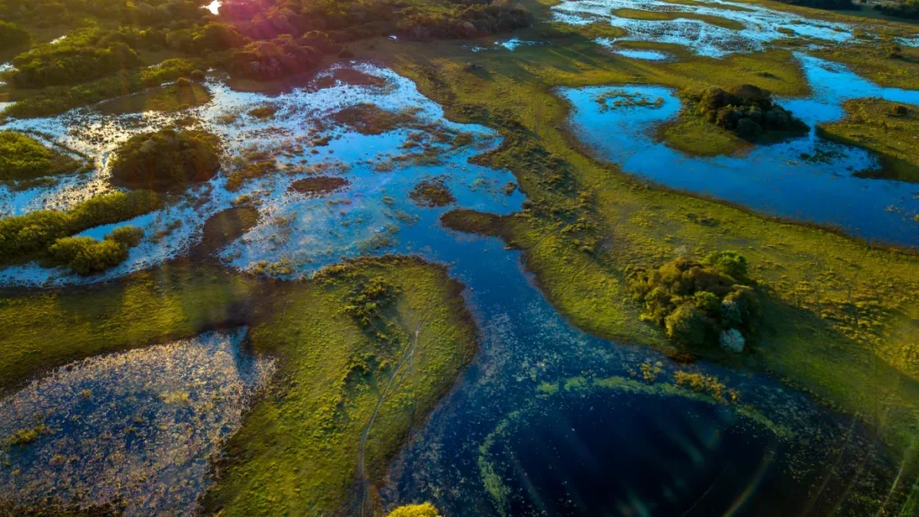 Vista Aérea do Pantanal