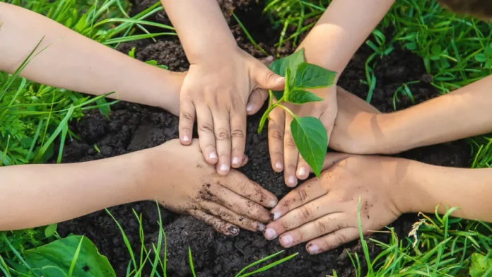 Meio-Ambiente-Educação-Infantil Meio Ambiente Educação Infantil