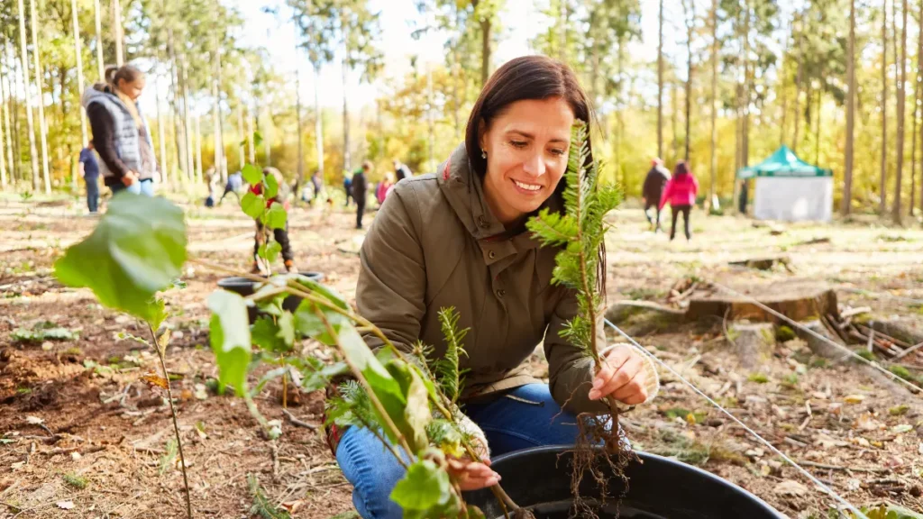 Mãos na terra: plantando do jeito certo