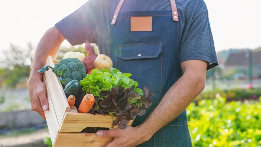 Alimentos Orgânicos