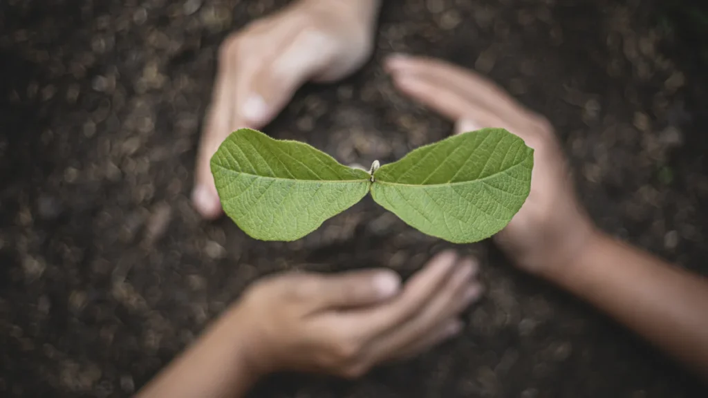 Aquecimento Global - Plantando Árvore