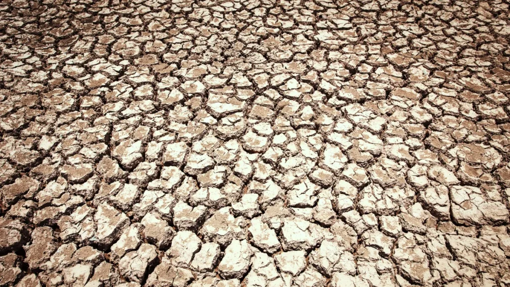 Aquecimento Global - Terra Seca