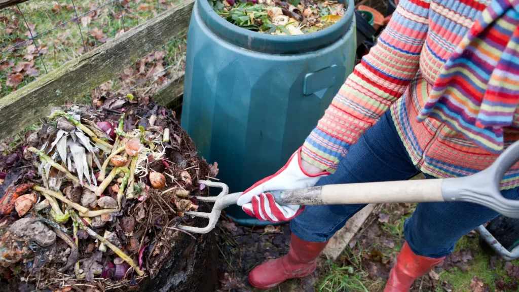 Imagem de compostagem caseira