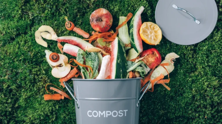 Compostagem Caseira: Transforme Seu Lixo em Vida Nova no Jardim