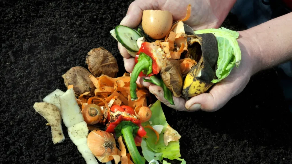 Imagem de compostagem caseira