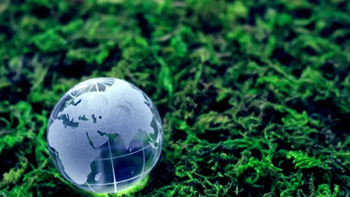 corredor-ecologico-1 o que são corredores ecológicos