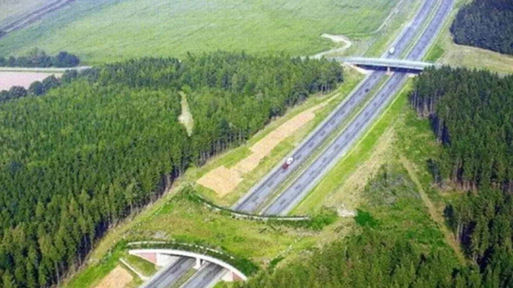 Passagens de fauna na Holanda