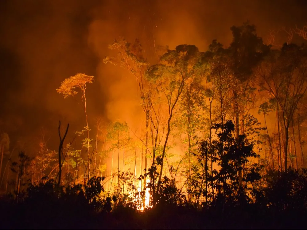 Desmatamento na Amazônia - Queimadas