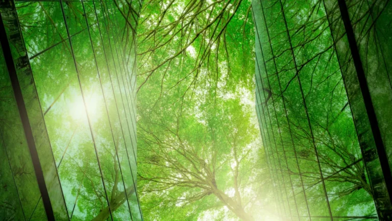 Edifícios Verdes: Construindo Um Futuro Mais Sustentável Para Todos