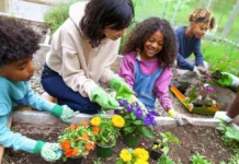Mãos na Terra: Como Fazer uma Horta Comunitária que Transforma o Seu Bairro horta comunitária