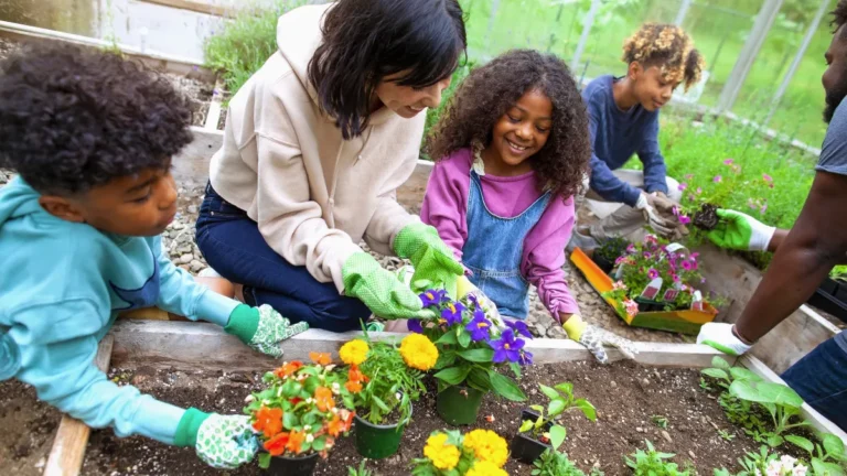 Mãos na Terra: Como Fazer uma Horta Comunitária que Transforma o Seu Bairro