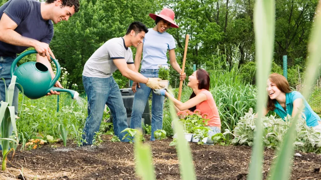 O que plantar - horta comunitária