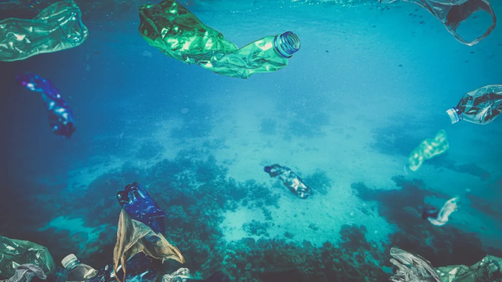 Corais e Bichos do Fundo do Mar: Sofrendo em Silêncio