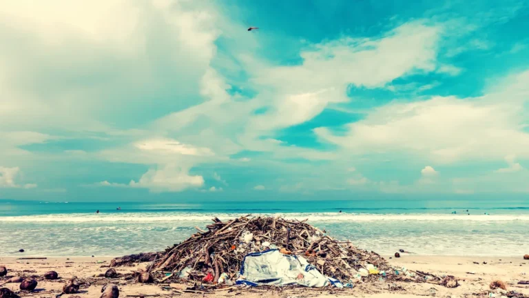O Mar Sufocado: Como o Lixo Marinho Está Destruindo Nossos Oceanos