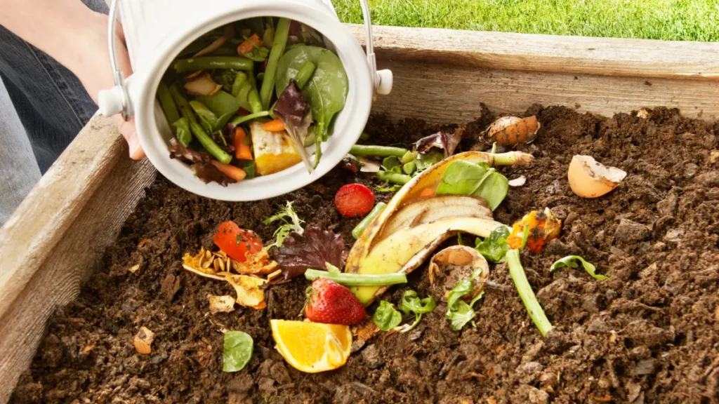 Imagem de compostagem caseira