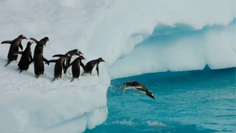 Os 10 Lugares Mais Ventosos do Mundo: Uma Jornada Pelos Extremos da Natureza