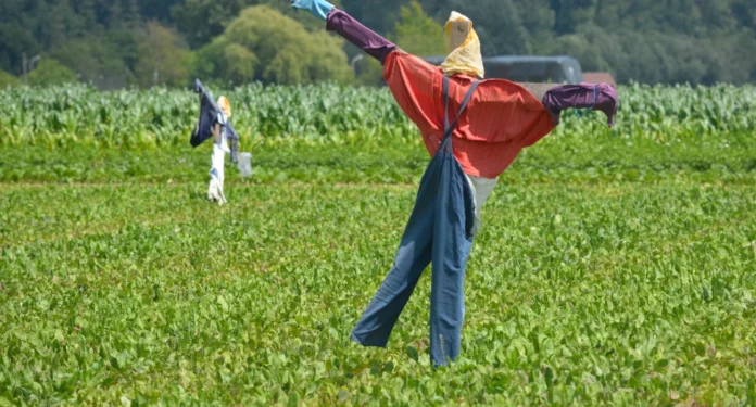 Espantalho repelentes de aves