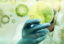 Biorremediação: Como Plantas e Microrganismos Estão Limpando a Poluição que Criamos Biorremediação