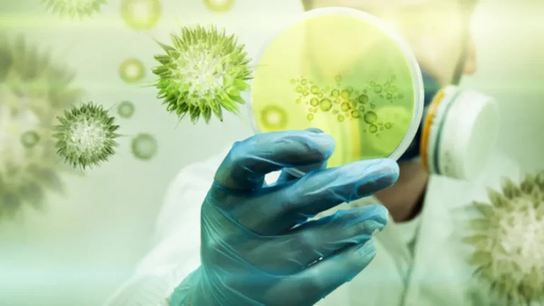 Biorremediação: Como Plantas e Microrganismos Estão Limpando a Poluição que Criamos