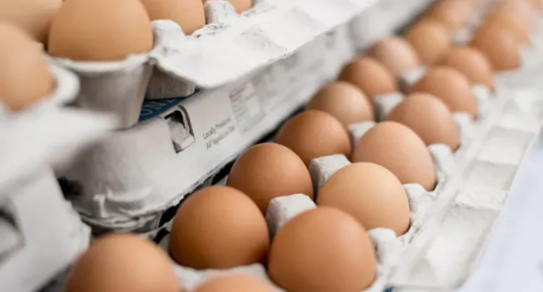 Caixas de Ovos Podem Ser Recicladas? O Que Você Não Sabia Sobre Este Item do Dia a Dia