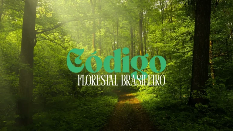 Código Florestal Brasileiro: Poucos Avanços, Muitos Retrocessos e Ambiguidades