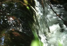 Nascentes: Origens da Vida que Alimentam os Maiores Rios do Brasil Nascente de água cristalina em meio à vegetação preservada do Brasil