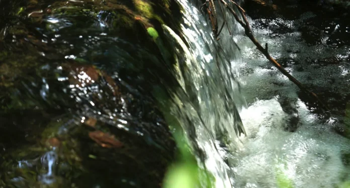 nascentes-02 Nascente de água cristalina em meio à vegetação preservada do Brasil