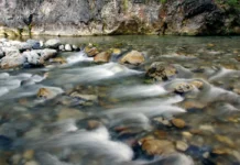 Preservação de Nascentes: Como Proteger as Fontes da Vida com Técnicas Simples e Eficazes Preservação de Nascentes