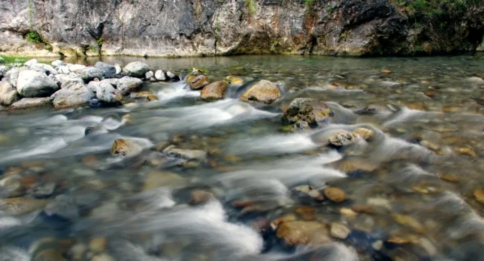 nascentes-04 Preservação de Nascentes