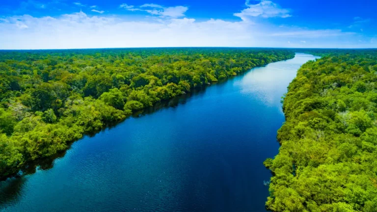 10 Coisas Incríveis Sobre o Rio Amazonas Que Vão Te Deixar Boquiaberto