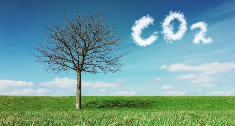 Como a Agricultura de Carbono Pode Salvar o Planeta