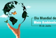 Dia Mundial do Meio Ambiente 2025: Por Que o Mundo Está de Olho na Coreia Dia Mundial do Meio Ambiente 2025