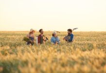 O Campo Virou o Novo Eldorado: Por Que Todo Mundo Está Correndo Atrás de Trabalho Rural Emprego no campo