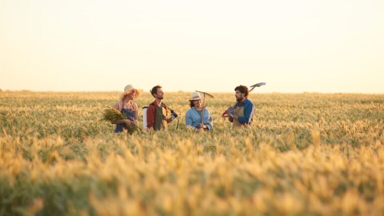 O Campo Virou o Novo Eldorado: Por Que Todo Mundo Está Correndo Atrás de Trabalho Rural