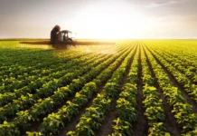 Como o GPS Está Mudando a Agricultura Para Sempre (E Por Que Todo Agricultor Deveria Saber Disso) tecnologia GPS na agricultura