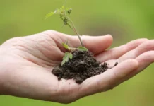 O Futuro Está em Nossas Mãos: Como Proteger o Meio Ambiente Pode Salvar Gerações Meio Ambiente