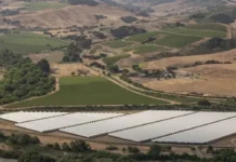 Plasticultura: A Tecnologia que Está Transformando a Agricultura (Mas Será que É Sustentável?) plasticultura