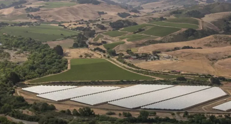 Plasticultura: A Tecnologia que Está Transformando a Agricultura (Mas Será que É Sustentável?)